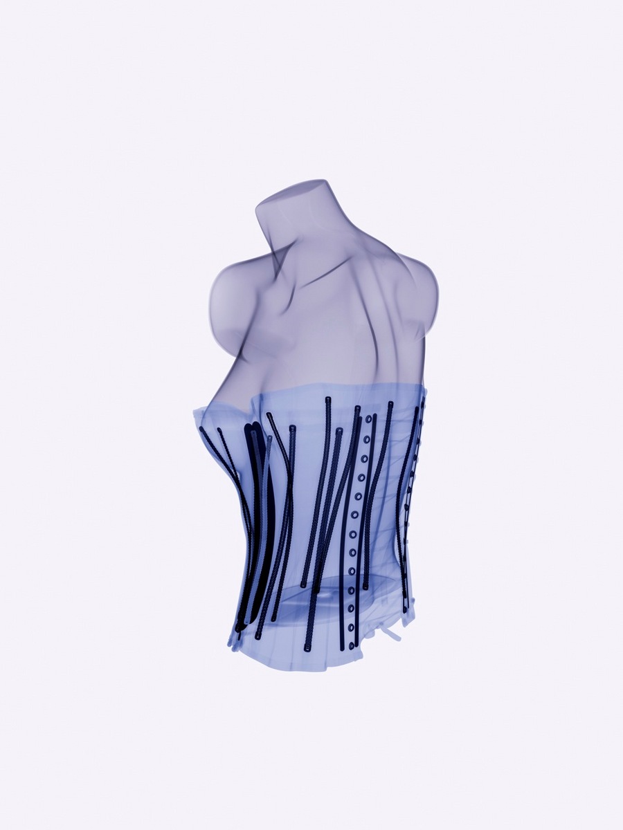 X-Ray Torso