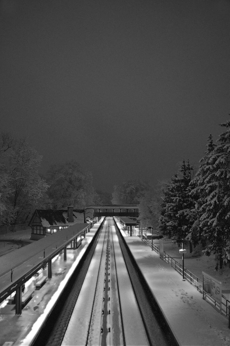 Winter Train - Daniel Sorine