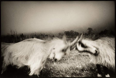 Battle of the Rainbow Bridge - Jack Perno