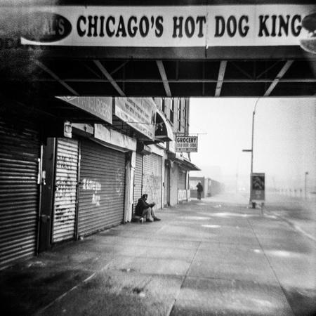 Chicago Hot Dog King - Stefanie Dworkin